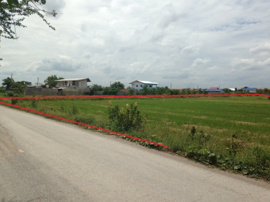 ขายที่ดิน สวยๆ   ซอยวัดสะอาด หลังโรงเรียนวรราชาทินัดดามาตุวิทยา และ วัดทองสะอาด   เนื้อที่จำนวน 28 ไร่ เหมาะทำหมู่บ้านจัดสรร ติดถนน ใกล้ๆถนน กาญจนาภิเษก   ขายไร่ละ 4 ล้านบาท ค่าใช้จ่ายในการโอน ผู้ขายออกให้หมด   ติดต่อ 0889419663