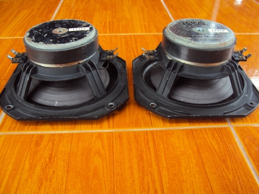 ขายดอกลำโพง FOCAL ว๊อยซ์คู่