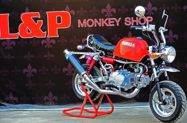 โปรโมชั่น ลดราคามังกี้ กอลิล่า มีให้เลือกหลากหลายแบบ ไม่ซ้ำ ขับสนุก ขับมัน ทนทาน  เริ่มต้น2XXXX