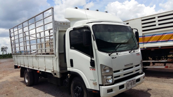 ขายด่วนรถ6ล้อNQRเครือง175แรงม้าปี52รถสวยเดิมยาว 5.50เมตร