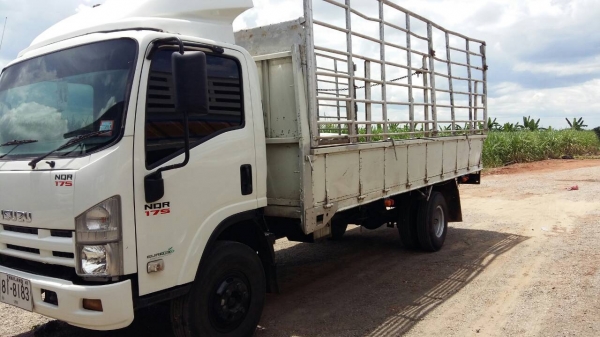 ขายด่วนรถ6ล้อNQRเครือง175แรงม้าปี52รถสวยเดิมยาว 5.50เมตร