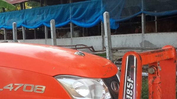 ขาย47 ตัว  และ  ดันหน้า  325000 ครับ