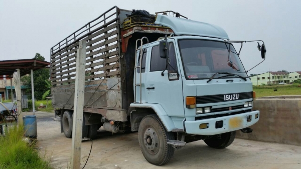 รถอีซูซุ 10 ล้อ หลังถนน FVM  195 แรงม้า. ปี 37   สนใจติดต่อ  081 - 6079515