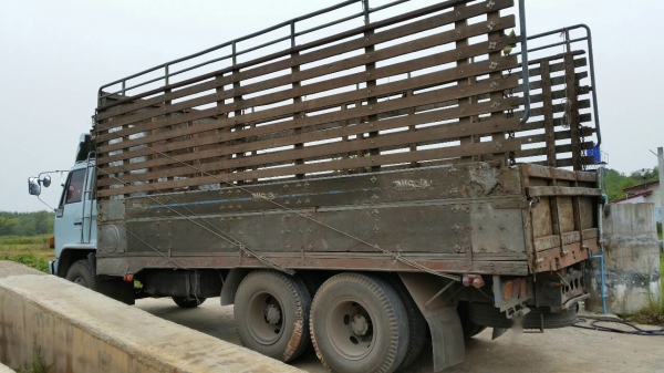 รถอีซูซุ 10 ล้อ หลังถนน FVM  195 แรงม้า. ปี 37   สนใจติดต่อ  081 - 6079515