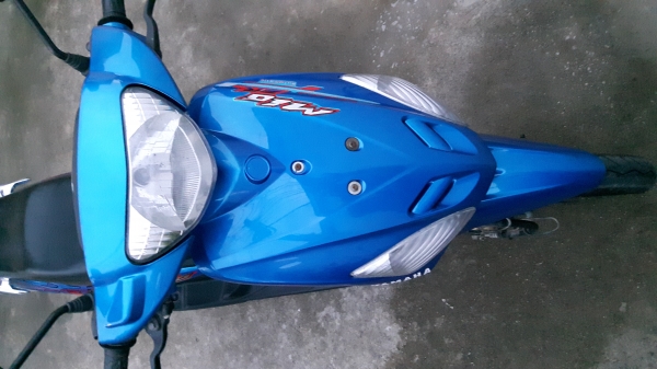 มีโอพร้อมใช้งาน