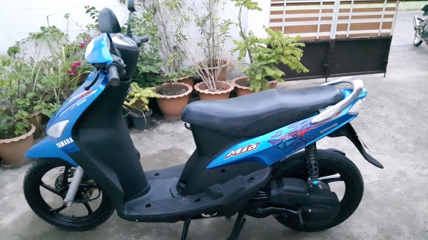 มีโอพร้อมใช้งาน