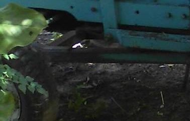 **105,000 บ.ต่อรอง/// รถไถ1เพลา JOHN DEERE-1640 62แรง **ขาย JOHN DEERE 1640 รถไถ1เพลา จอนห์เดียร์ ตามสภาพราคาถูกๆ FARM TRACTOR JOHN DEERE 1640 เครื่องเดิม เกียร์เดิม เครื่องยนต์ดีเซล-4สูบ 62แรง เครื่องดี ปั้มดี สตาร์ทง่าย เสียงยังนิ่มดีครับ เกียร์ดี ยังใช **105,000 บ.ต่อรอง/// รถไถ1เพลา JOHN DEERE-1640 62แรง **ขาย JOHN DEERE 1640 รถไถ1เพลา จอนห์เดียร์ ตามสภาพราคาถูกๆ FARM TRACTOR JOHN DEERE 1640 เครื่องเดิม เกียร์เดิม เครื่องยนต์ดีเซล-4สูบ 62แรง เครื่องดี ปั้มดี สตาร์ทง่าย เสียงยังนิ่มดีครับ เกียร์ดี ยังใช