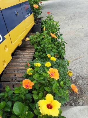 รถขุด KOMATSU PC20-6