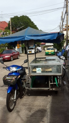 ขายมอเตอร์ไซด์พ่วงข้าง