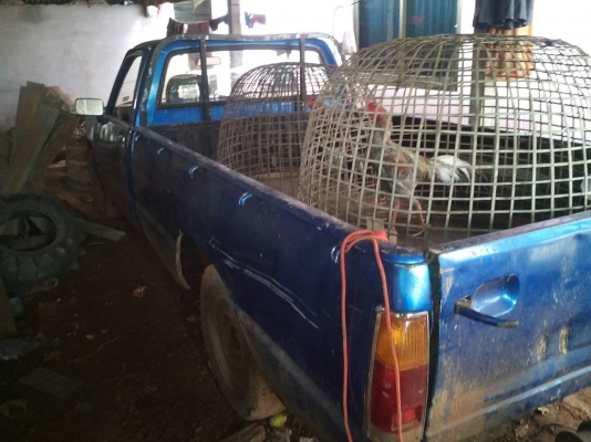 ขาย isuzu kb 2500 ครื่องฝาทอง