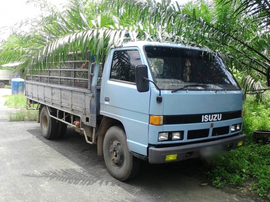 รถอีซูซุ 6 ล้อ รั้ว NPR  115 แรงม้า. ( รถประกอบ. )     สนใจติดต่อ  081 - 6079515