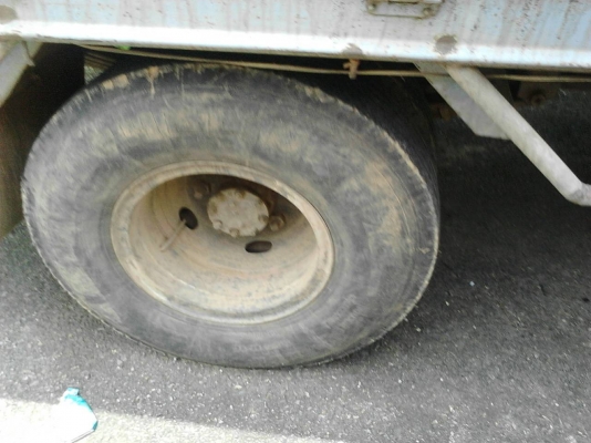 รถอีซูซุ 6 ล้อ รั้ว NPR  115 แรงม้า. ( รถประกอบ. )     สนใจติดต่อ  081 - 6079515