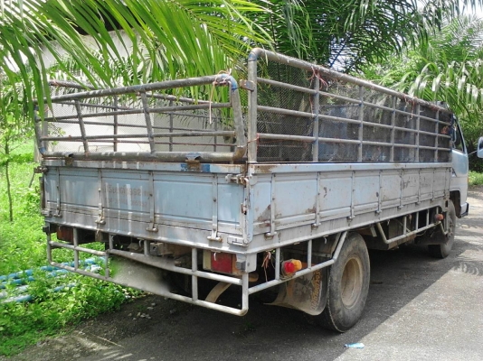 รถอีซูซุ 6 ล้อ รั้ว NPR  115 แรงม้า. ( รถประกอบ. )     สนใจติดต่อ  081 - 6079515