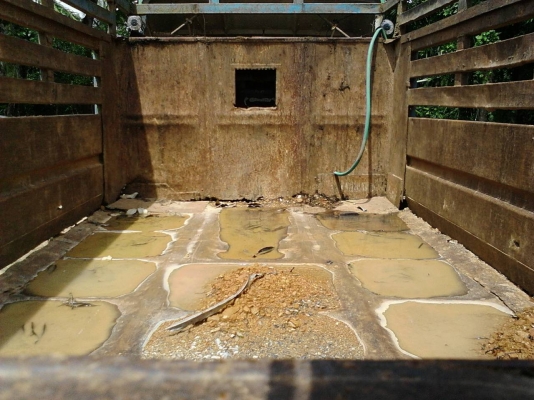 รถอีซูซุ 6 ล้อดั้ม  NPR 115 แรงม้า. ปี 38  ( รถห้าง แท้. )     สนใจติดต่อ  081 - 6079515