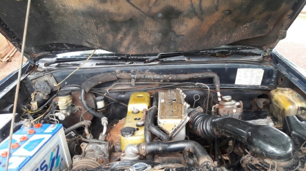 ขายรถกระบะตอนเดียว