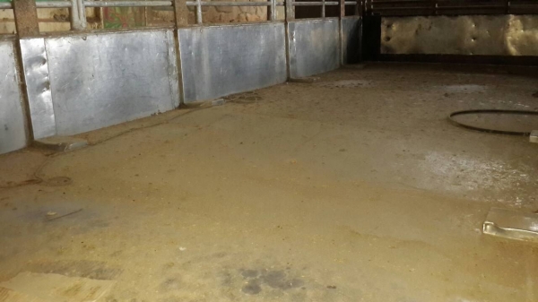 ขายรถ6ล้อร็อกกีFRRเครือง175แรงเบรดทิฟฟี่พาวเวอรยาว5.5เมตร