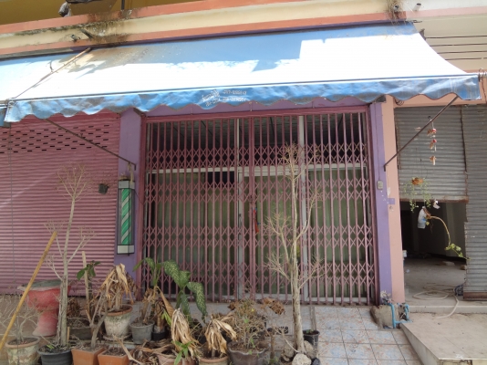 ตึกแถว อยู่แหล่งชุมชน  ผ่อนได้ไม่เสียดอกเบี้ย