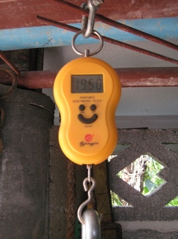 ขายตัวดึงสลิง