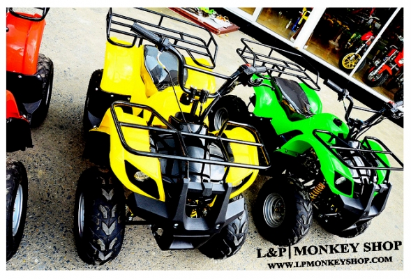 ลดราคาพิเศษ ❤ ｡◕‿◕｡**ATV mini  bear** เปลีนใหม่ ใส่เครือง 125cc โปรโมชั่นพิเศษ ลดราคาถูกมากๆๆ เริ่มต้าที่...  มีของแถม!!!รับประกัน1ปี