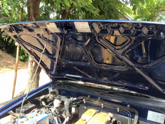 ขายมังกรหัวเดียง