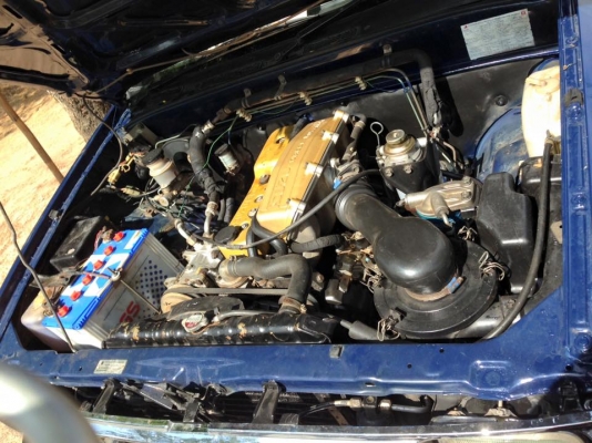 ขายมังกรหัวเดียง