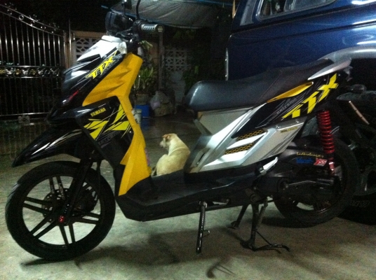 ขาย yamaha ttx ครับ ตามสภาพ