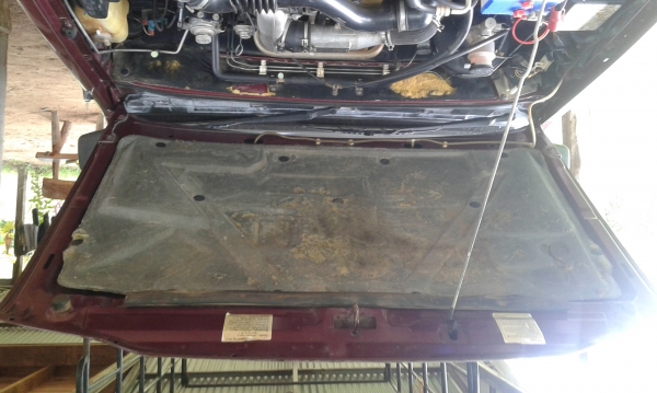 ดราก้อนปี 44