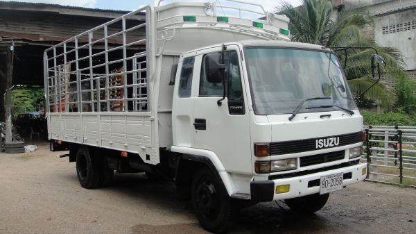 ดาวน์55000 ISUZU ROCKY แอร์ ฟิล์ม เพาเวอร์ เครื่องดี คัสฃีสวย รถพร้อมใช้ ราคาถูก