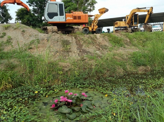 รถแบคโฮ HITACHI EX200-1 อย่างสวย.