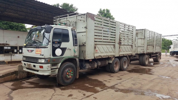 ขายรถพ่วง HINO FM3M แม่-ลูกไม่ดั้ม กระบะสามมิตร เครื่องเดิม M10C 240 แรงม้า เกียร์เดิม สโลว์เดิม คัสซีสวยตลอดเส้น ทะเบียนพร้อมโอนครับ