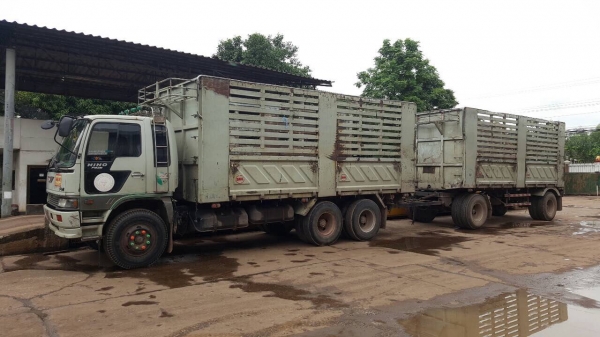 ขายรถพ่วง HINO FM3M แม่-ลูกไม่ดั้ม กระบะสามมิตร เครื่องเดิม M10C 240 แรงม้า เกียร์เดิม สโลว์เดิม คัสซีสวยตลอดเส้น ทะเบียนพร้อมโอนครับ
