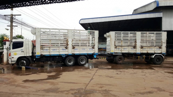 ขายรถพ่วง HINO MEGA 260 แม่-ลูกไม่ดั้ม สภาพสวยเดิมพร้อมใช้ เครื่องเดิม เกียร์เดิม คัสซีสวยตลอดเส้น แอร์เย็น ยางเรเดียลเต็มทุกเส้น ทะเบียนพร้อมโอนครับ ขายรถพ่วง HINO MEGA 260 แม่-ลูกไม่ดั้ม สภาพสวยเดิมพร้อมใช้ เครื่องเดิม เกียร์เดิม คัสซีสวยตลอดเส้น แอร์เย็น ยางเรเดียลเต็มทุกเส้น ทะเบียนพร้อมโอนครับ