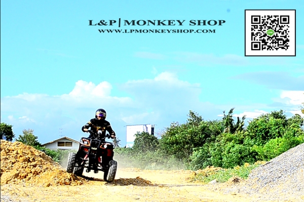 จัดโปรใหม่  BIG BEAR 125 cc ลดราคาพิเศษคุ้มสุดๆ ราคาเริ่มต้นที่...