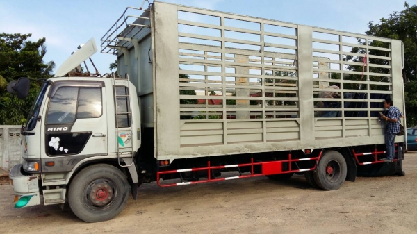 หกล้อ! ฮีโน้ FF3H195 ปี39 กะบะเหล็ก ยาว 7.20ม แอร์ เวอร์ ทิฟฟี ยาง900 ทะเบียนพร้อมโอน ราคา 595,000บ หกล้อ! ฮีโน้ FF3H195 ปี39 กะบะเหล็ก ยาว 7.20ม แอร์ เวอร์ ทิฟฟี ยาง900 ทะเบียนพร้อมโอน ราคา 595,000บ