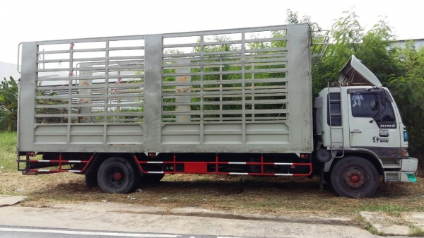 หกล้อ! ฮีโน้ FF3H195 ปี39 กะบะเหล็ก ยาว 7.20ม แอร์ เวอร์ ทิฟฟี ยาง900 ทะเบียนพร้อมโอน ราคา 595,000บ หกล้อ! ฮีโน้ FF3H195 ปี39 กะบะเหล็ก ยาว 7.20ม แอร์ เวอร์ ทิฟฟี ยาง900 ทะเบียนพร้อมโอน ราคา 595,000บ