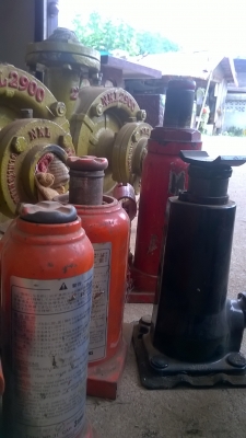 ขายแม่แรง ญี่ปุ่น