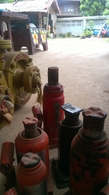 ขายแม่แรง ญี่ปุ่น