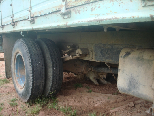 ขายรถหกล้อร้อยแรง