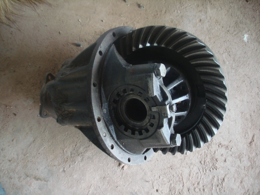 ขายเฟื่องท้าย 100 แรง