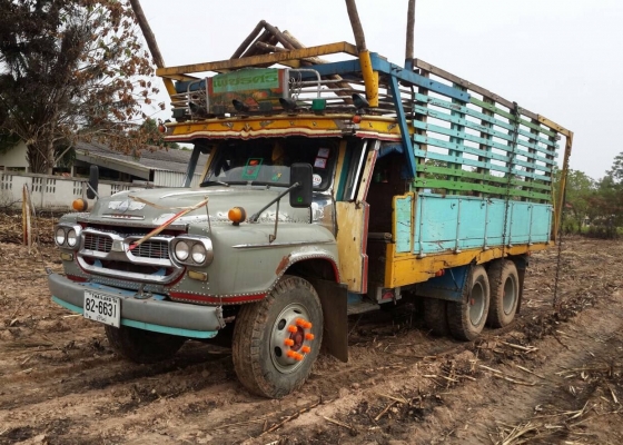 ขาย 10 ล้อหัวยาว 2 เพลา ช่วงล่างใหญ่จัมโบ้ เครื่อง EH700 168 แรงม้า คัสซีสวยตลอดเส้น สโลว์กลาง พวงมาลัยพาวเวอร์ ทะเบียนพร้อมโอนครับ