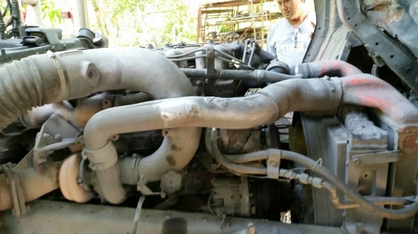 ขายหัวลาก