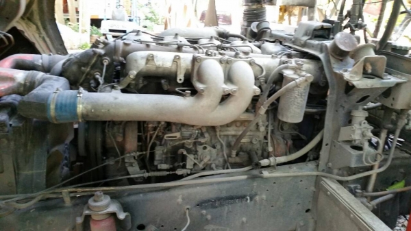 ขายหัวลาก