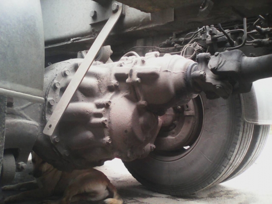 ขายหัวลาก