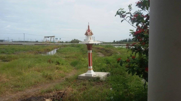 ขายที่ดิน 12 ไร่ ติดถนนพระราม 2 ถมแล้ว ตำบลกาหลง สมุทรสาคร