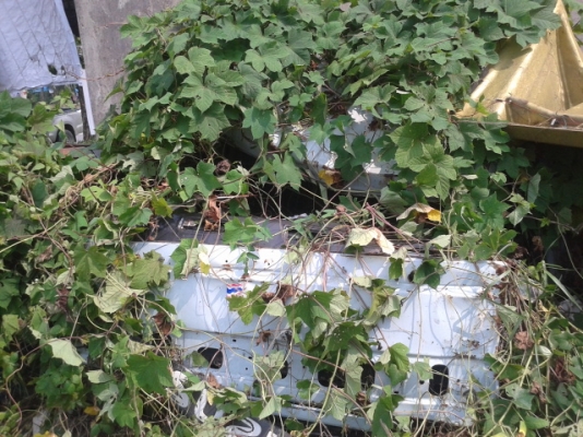 ขาย  3 หัว รถโดนชน / หัวที่่ 1 อีซูสุ สิบล้อ270 แรงม้า หัวที่2  อีซูสุสิบล้อ 195 ล๊อกกี้