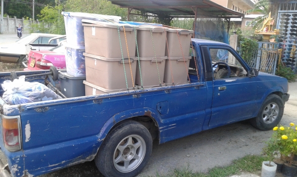 ขายด่วน กระบะ ฟอร์ด เครื่อง อีซูซุ 2500 ทะเบียนไม่ขาด ชุดโอนครบ ราคา 48000 บาท ติดต่อ มงคล 0892524530