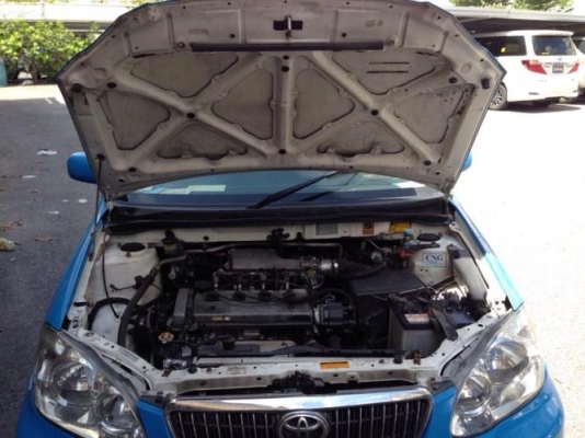 TEXI เหลือวิ้งอีก 1 ปี TEXI เหลือวิ้งอีก 1 ปี