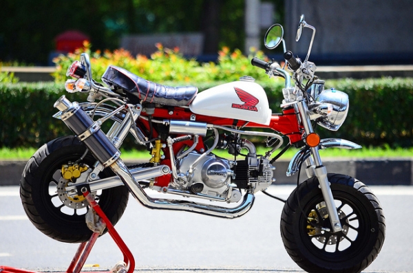 โปรโมชั่น ลดราคามังกี้ กอลิล่า มีให้เลือกหลากหลายแบบ ไม่ซ้ำ ขับสนุก ขับมัน ทนทาน  เริ่มต้น2XXXX