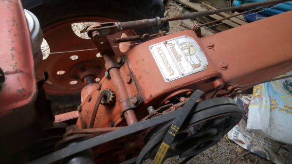 ขายคุบเดินตาม ขายคุบเดินตาม