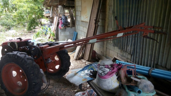 ขายคุบเดินตาม ขายคุบเดินตาม